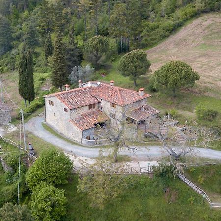 Fattoria Di Cintoia Villa Pontassieve Eksteriør billede