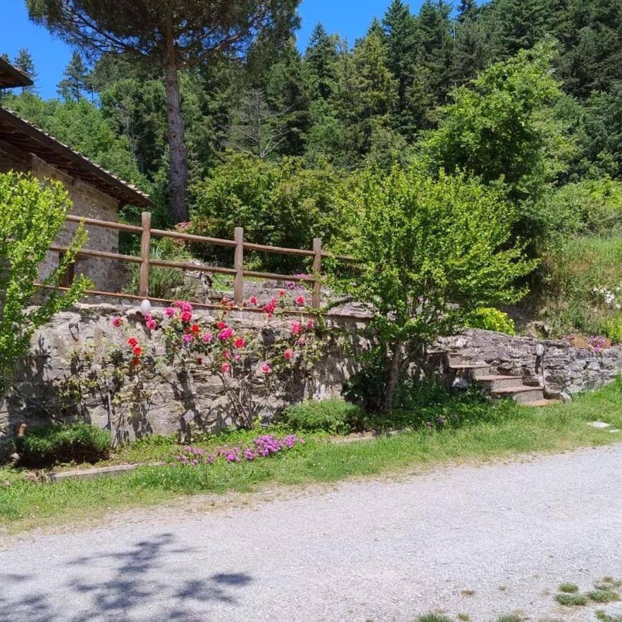 Fattoria Di Cintoia Villa Pontassieve Eksteriør billede