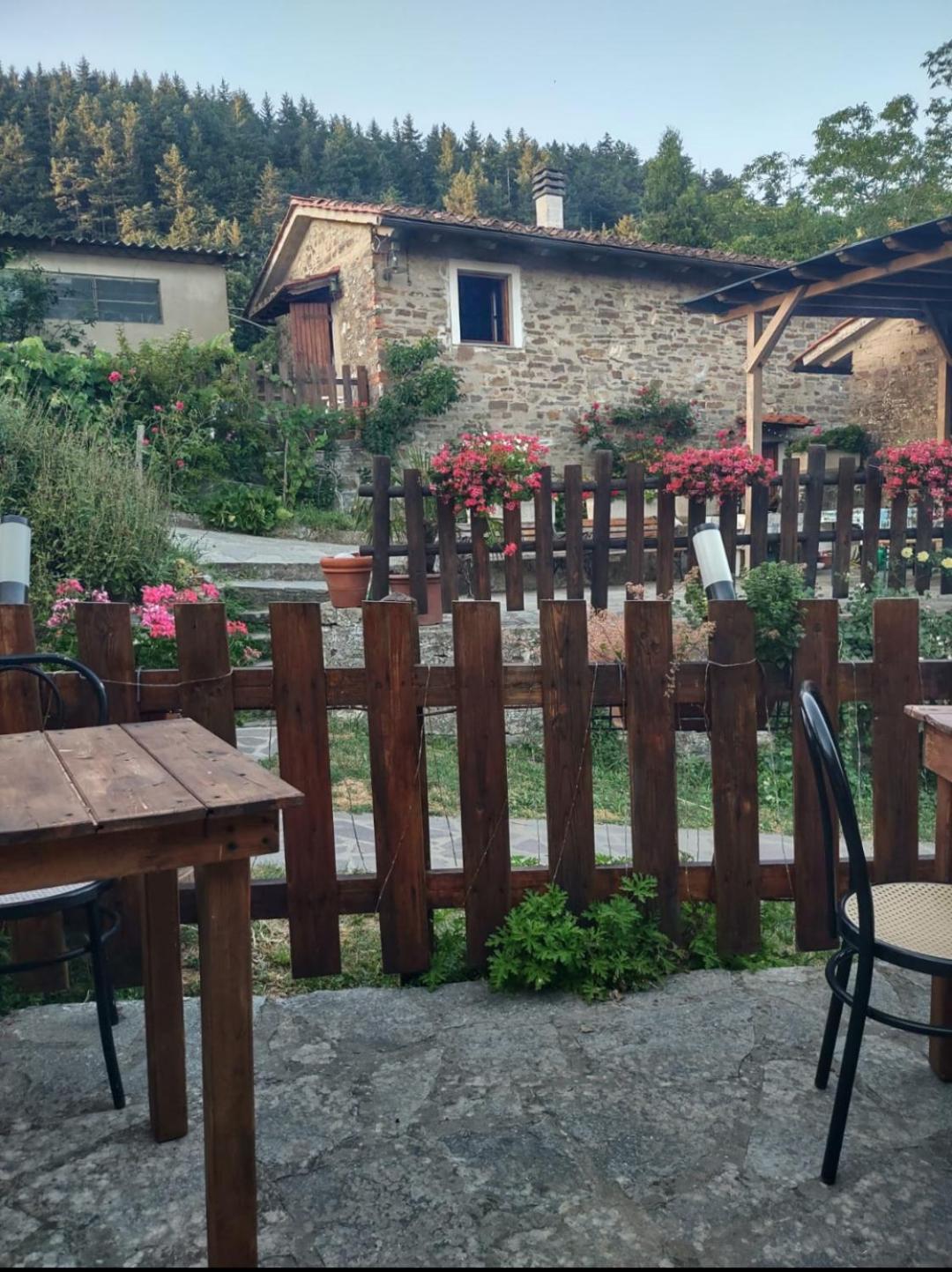 Fattoria Di Cintoia Villa Pontassieve Eksteriør billede