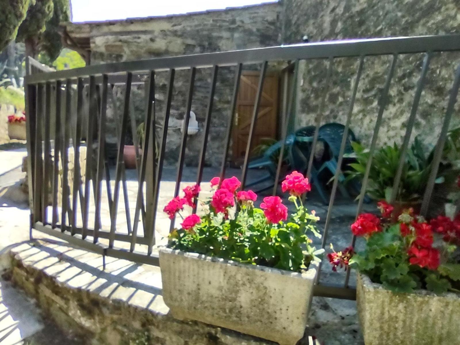 Fattoria Di Cintoia Villa Pontassieve Eksteriør billede