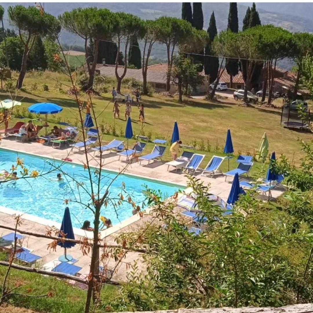 Fattoria Di Cintoia Villa Pontassieve Eksteriør billede