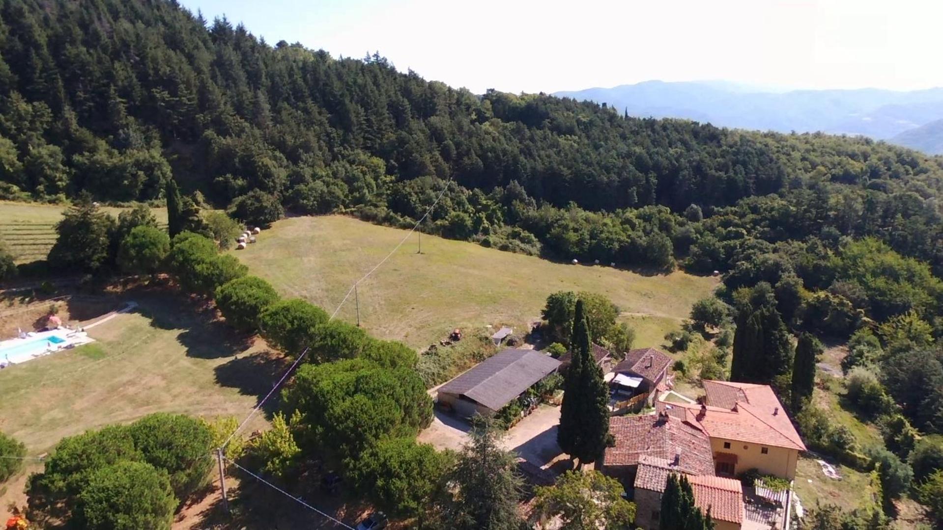 Fattoria Di Cintoia Villa Pontassieve Eksteriør billede