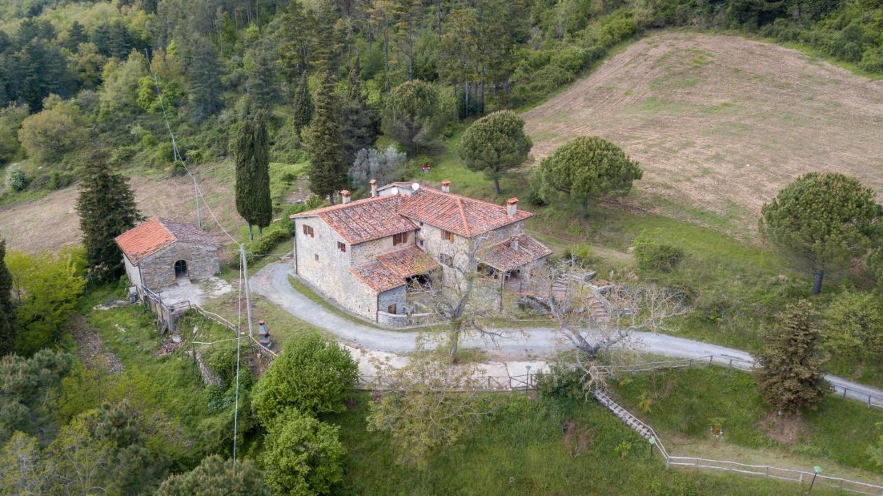 Fattoria Di Cintoia Villa Pontassieve Eksteriør billede