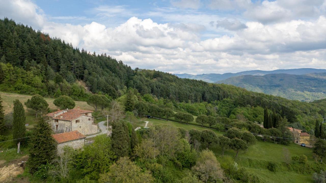 Fattoria Di Cintoia Villa Pontassieve Eksteriør billede