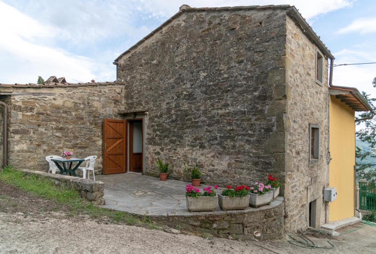 Fattoria Di Cintoia Villa Pontassieve Eksteriør billede