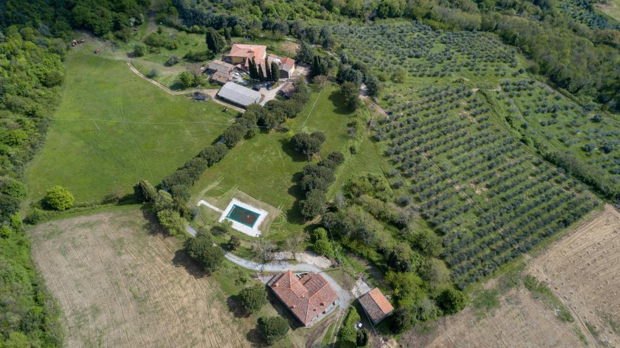 Fattoria Di Cintoia Villa Pontassieve Eksteriør billede