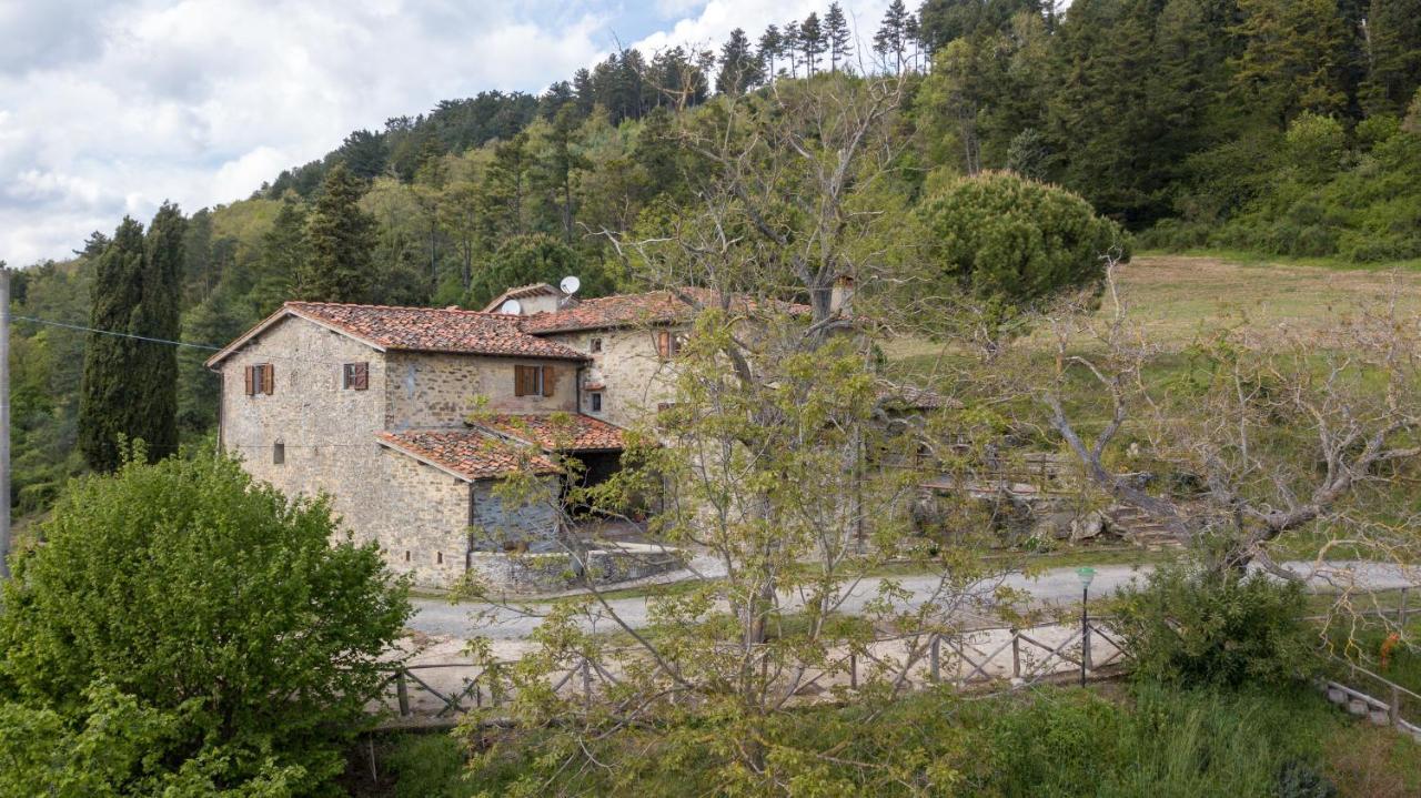 Fattoria Di Cintoia Villa Pontassieve Eksteriør billede